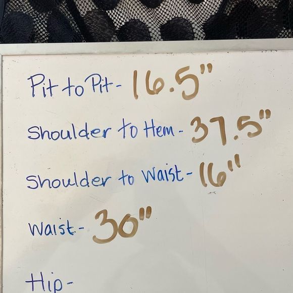 Betsey Johnson Roses w/ Polka Dot Mesh Zipper Back Dress Sz 12 - Picture 7 of 7